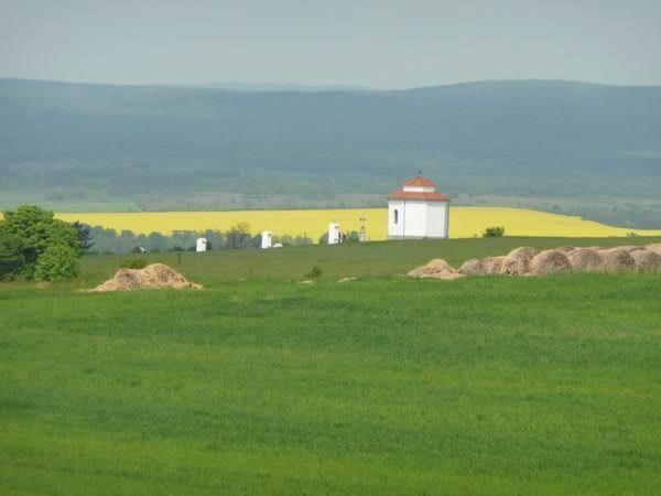 Sarffy House Bed & Breakfast Dörgicse Екстериор снимка